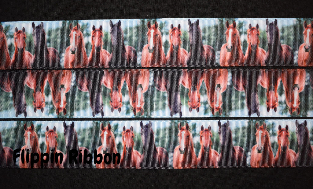 Wide Horse Ribbon - Flippin Ribbon