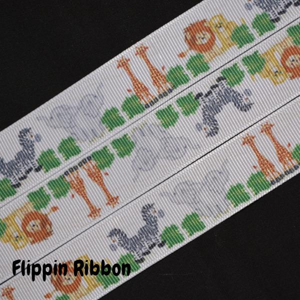 Two by Two Ribbon - Flippin Ribbon
