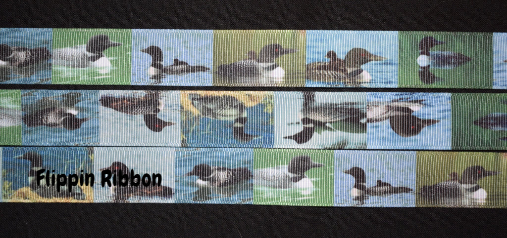 Mallard Duck Ribbon - Flippin Ribbon