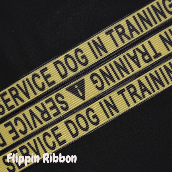 service dog in training ribbon - Flippin Ribbon